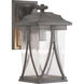 Luce 1 Light 16 inch Antique Pewter Outdoor Wall Lantern, Medium