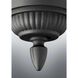 Marcellus 1 Light 9 inch Textured Black Outdoor Flush Mount