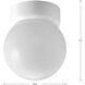Ginger 1 Light 6 inch White Flush Mount Ceiling Light