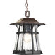 Laraine 1 Light 8.5 inch Espresso Outdoor Hanging Lantern