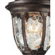 Joy 1 Light 14 inch Regal Bronze with Clear Outdoor Wall Sconce