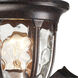 Joy 1 Light 13 inch Regal Bronze Outdoor Wall Sconce