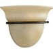 Slade 1 Light 9.5 inch Forged Bronze Wall Sconce Wall Light