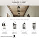 Caelum 2 Light 22 inch Antique Bronze Outdoor Wall Lantern, Medium, Design Series