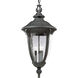 Shelley 3 Light 12 inch Textured Black Outdoor Hanging Lantern