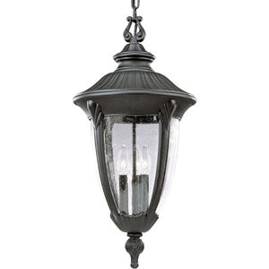 Shelley 3 Light 12 inch Textured Black Outdoor Hanging Lantern