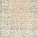 Sabene 48 X 27 inch Camel Rug, Rectangle