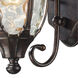 Joy 1 Light 14 inch Regal Bronze with Clear Outdoor Wall Sconce
