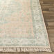 Sabene 48 X 27 inch Camel Rug, Rectangle