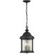 Renee 3 Light 9.63 inch Textured Black Outdoor Hanging Lantern