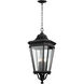 Quade 13.63 inch Black Outdoor Hanging Lantern
