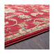 Musetta 39 X 24 inch Brick Red Rug, Rectangle
