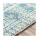 Sabene 48 X 27 inch Aqua Rug, Rectangle