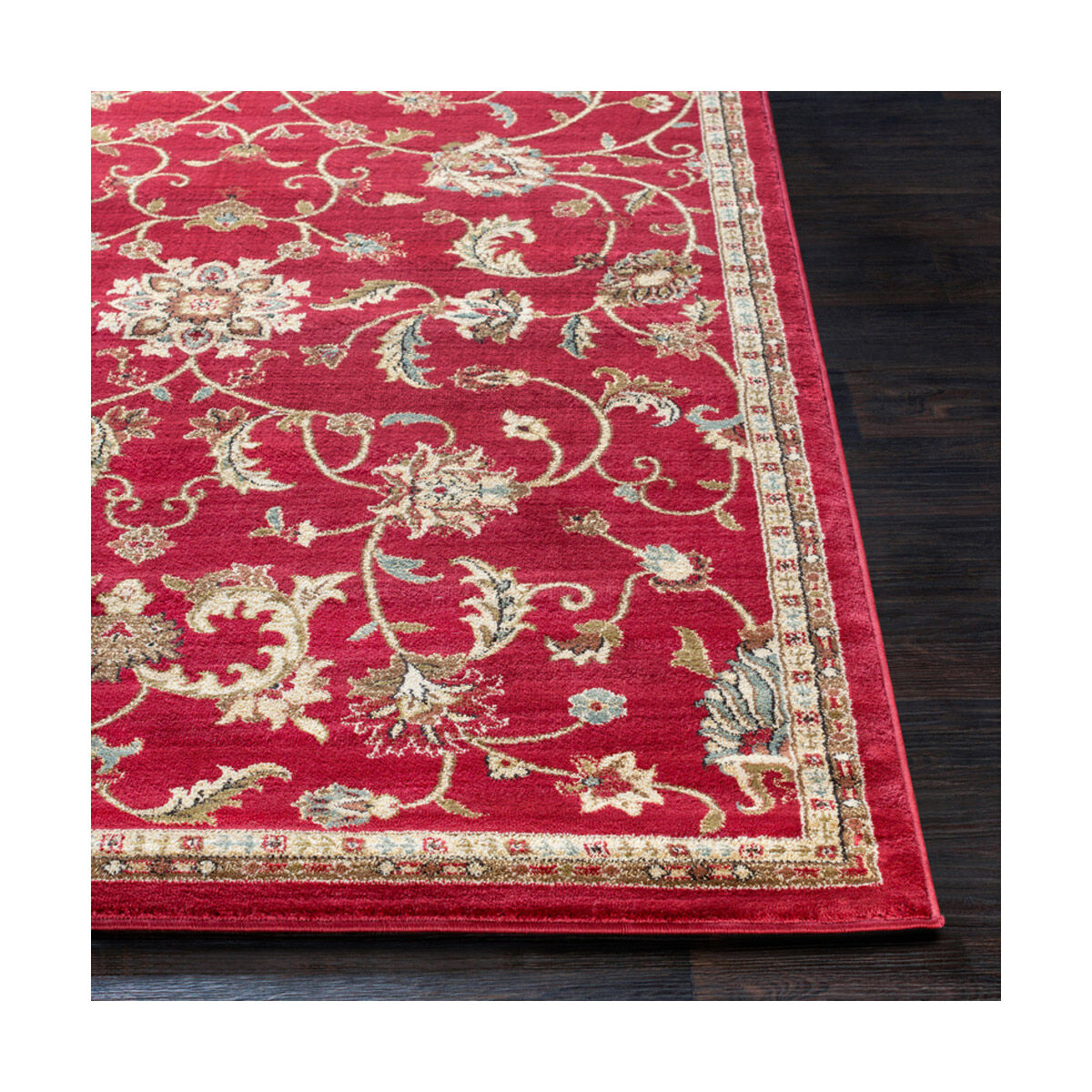 Musetta 89 X 24 inch Brick Red Rug, Runner