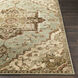 Adora 35 X 22 inch Sage Rug, Rectangle