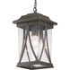 Luce 1 Light 8.25 inch Antique Bronze Outdoor Hanging Lantern