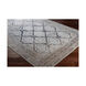 Ademaro 87 X 63 inch Beige/Taupe/Camel/Medium Gray/Charcoal Rugs, Polypropylene and Chenille