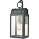 Carnelian 1 Light 19 inch Aged Zinc Outdoor Wall Sconce