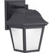 Ladd Outdoor Wall Lantern, Small, Progress LED