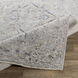Eartha 98 X 60 inch Taupe Rug, Rectangle