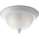Skeet 2 Light 13.25 inch White Flush Mount Ceiling Light