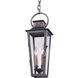 Bancroft 2 Light 7 inch Aged Pewter Outdoor Pendant