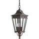 Quade 3 Light 9.5 inch Grecian Bronze Outdoor Hanging Lantern