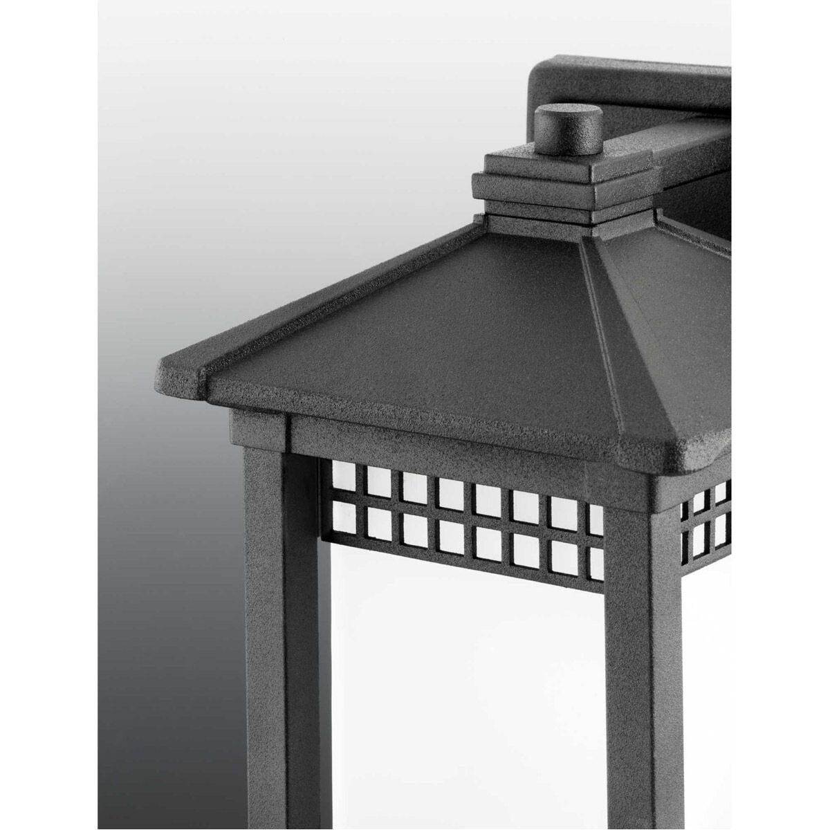 Hedwig 1 Light 8 inch Textured Black Outdoor Wall Lantern