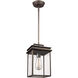 Chancellor 1 Light 7.75 inch Antique Bronze Outdoor Pendant