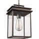 Chancellor 1 Light 7.75 inch Antique Bronze Outdoor Pendant