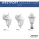 Marcellus 1 Light 13 inch White Outdoor Wall Lantern, Small