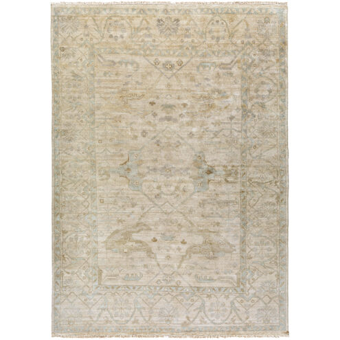 Kinsey 132 X 96 inch Light Sage Rug, Rectangle