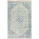 Sabene 48 X 27 inch Aqua Rug, Rectangle