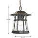 Laraine 1 Light 8.5 inch Espresso Outdoor Hanging Lantern