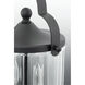 Terah 2 Light 9.5 inch Textured Black Outdoor Hanging Lantern