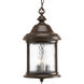 Renee 3 Light 10 inch Antique Bronze Outdoor Hanging Lantern