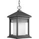 Hedwig 1 Light 10 inch Textured Black Outdoor Hanging Lantern