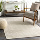 Sylvia 72 X 48 inch Beige Rug, Rectangle