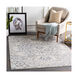 Mirth 35 X 24 inch Medium Gray/Charcoal/Denim/Ivory/Light Gray Rugs