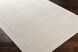 Sylvia 72 X 48 inch Beige Rug, Rectangle