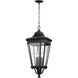 Quade 13.63 inch Black Outdoor Hanging Lantern