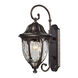 Joy 1 Light 18 inch Regal Bronze Outdoor Wall Sconce