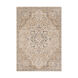 Napea 96 X 61 inch Camel/Charcoal/Cream/Medium Gray/Dark Brown Rugs, Rectangle