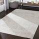 Ainsley 60 X 31 inch Light Gray Rug, Rectangle
