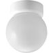 Ginger 1 Light 6 inch White Flush Mount Ceiling Light