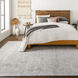 Ainsley 60 X 31 inch Light Gray Rug, Rectangle