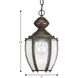 Zachriel 1 Light 7 inch Antique Bronze Outdoor Hanging Lantern