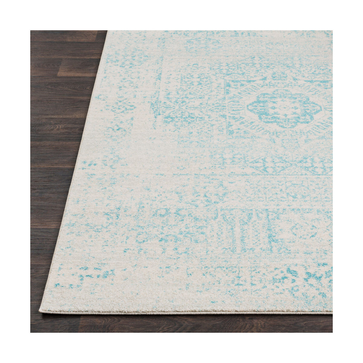 Channing 36 X 24 inch Teal Rug, Rectangle