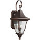 Caius 4 Light 43.75 inch Patina Bronze Outdoor Wall Lantern