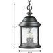 Renee 3 Light 9.63 inch Textured Black Outdoor Hanging Lantern